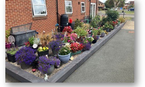 The garden at Haverah Court full of pots and flowers