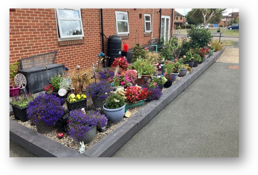 The garden at Haverah Court full of pots and flowers