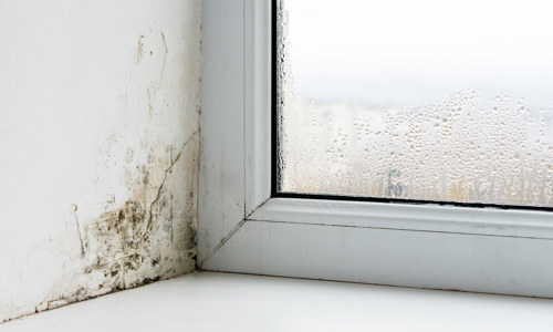 Photo of a window and windowsill with mould on the wall and condensation on the window.