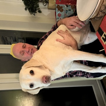 Man with golden labrador sitting on his lap