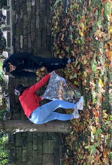 Two people clearing up leaves from the floor with a stone wall behind and a tree next to them