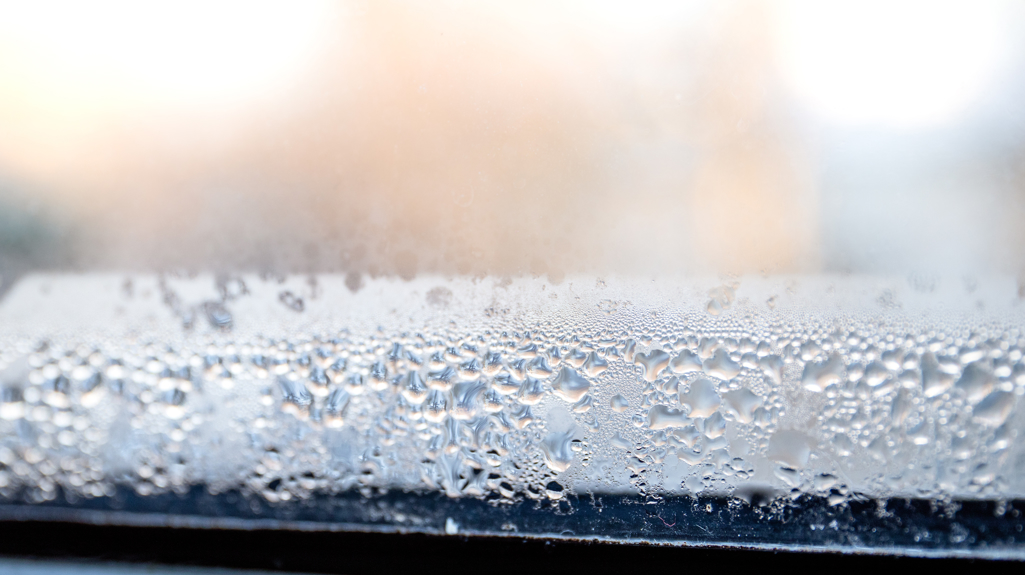 Photograph of a window from the inside looking out with ice and condensation 