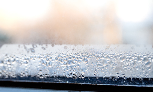 Photograph of a window from the inside looking out with ice and condensation 