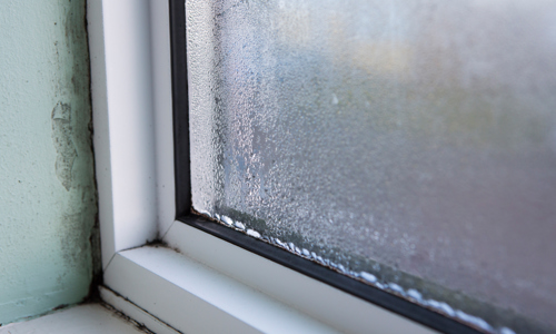 Condensation around a window along with a bit of black mould around the seal of the window 