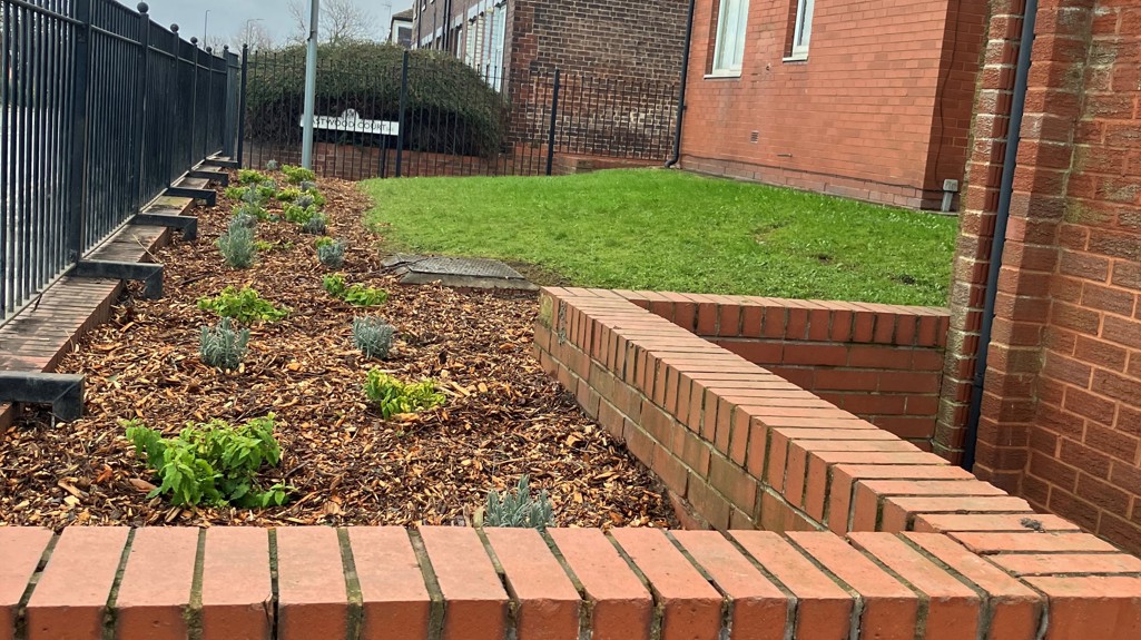 South Collaborative Ryan Eastwood Court 2
