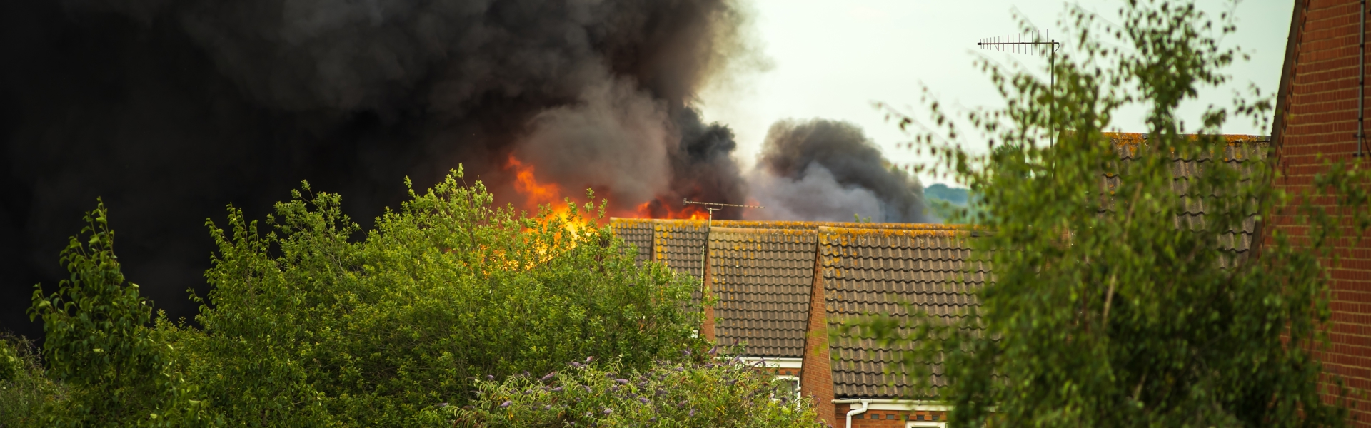 A row of houses covered largely by trees and bushes. The house at the back is on fire with black billowing smoke. 