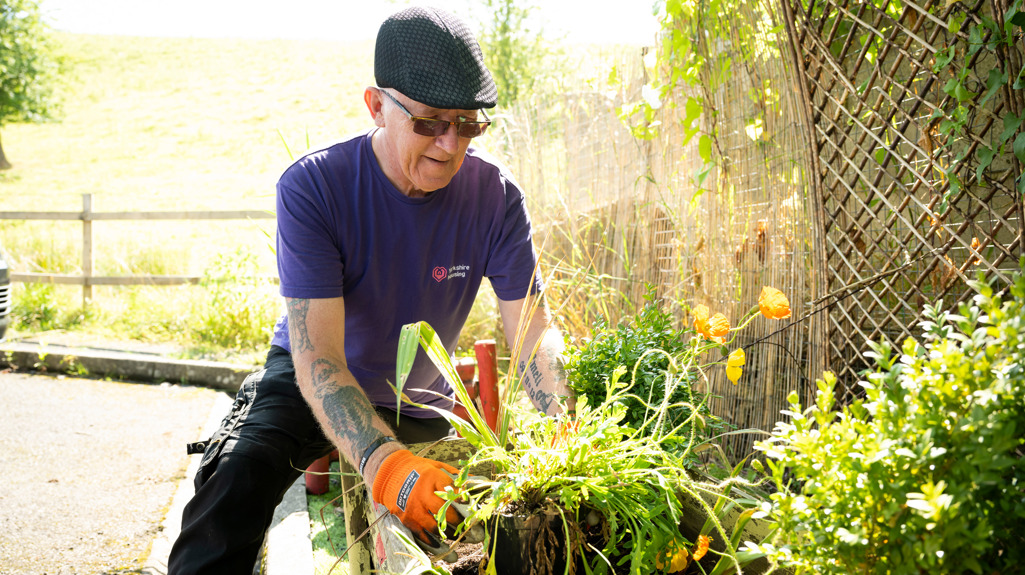 Man wearing a flat cap, sunglasses, and a purple Yorkshire Housing t-shirt, gardening outdoors with orange gloves, planting greenery in a raised bed on a sunny day.